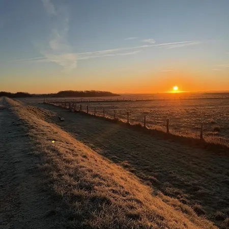 Strandgut Appartement *